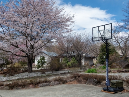 バスケットリング